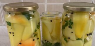 LJUTA TAMAN KOLIKO TREBA, A ŠMEK DOMAĆINSKI! Ova zimnica je nikad prevaziđena, otimaju se za nju LJUTA TAMAN KOLIKO TREBA, A ŠMEK DOMAĆINSKI! Ova zimnica je nikad prevaziđena, otimaju se za nju - featured image