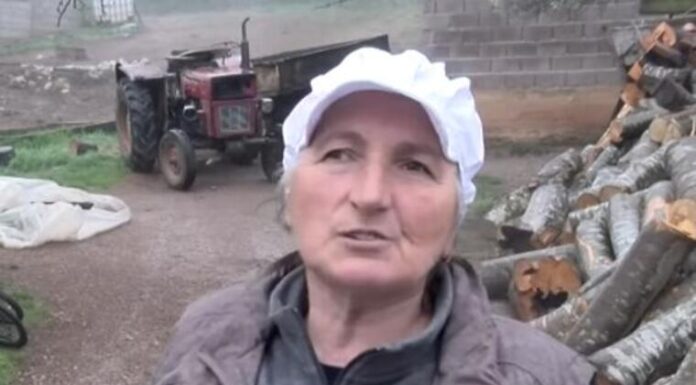 Svekar izbarao 7 žena za svoje sinove i svaku okitio zlatom: Najstarija jetrva otkrila kako žive i zabezeknula ljude Svekar izbarao 7 žena za svoje sinove i svaku okitio zlatom: Najstarija jetrva otkrila kako žive i zabezeknula ljude - featured image