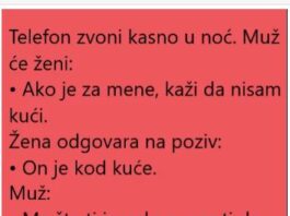 VIC DANA: ŽENA I POZIV