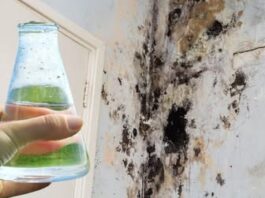 SAMO 1 kap i plijesan odmah nestaje sa zidova! SAMO 1 kap i plijesan odmah nestaje sa zidova! - featured image