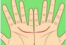 Ove linije na dlanu imaju samo posebni ljudi, nema ih mnogo, iznenadićete se kada čujete šta znače Ove linije na dlanu imaju samo posebni ljudi, nema ih mnogo, iznenadićete se kada čujete šta znače - featured image