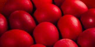 Najboji prirodni način farbanja jaja u jarko crvenu star 50 godina: Samo 1 namirnica vam je potrebna, a boja ne prodire kroz ljusku Najboji prirodni način farbanja jaja u jarko crvenu star 50 godina: Samo 1 namirnica vam je potrebna, a boja ne prodire kroz ljusku - featured image