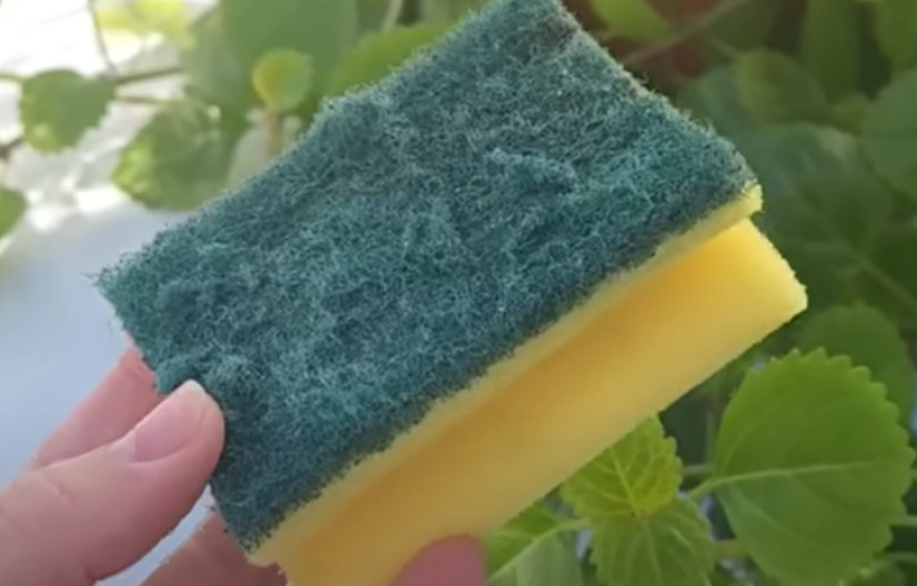 Od otpada do zlata: Nevjerovatna nova namjena starog sunđera! Ovo je trik koji je odusevio svijet” - featured image Od otpada do zlata: Nevjerovatna nova namjena starog sunđera! Ovo je trik koji je odusevio svijet” - featured image