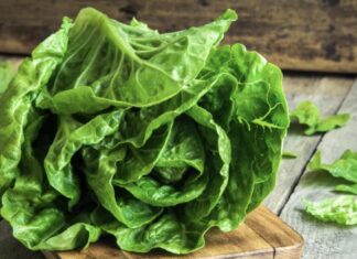 EVO KAKO DA VAM ZELENA SALATA OSTANE SVEŽA I DO MESEC DANA: Samo ispoštuje ovo jednostavno pravilo! EVO KAKO DA VAM ZELENA SALATA OSTANE SVEŽA I DO MESEC DANA: Samo ispoštuje ovo jednostavno pravilo! - featured image