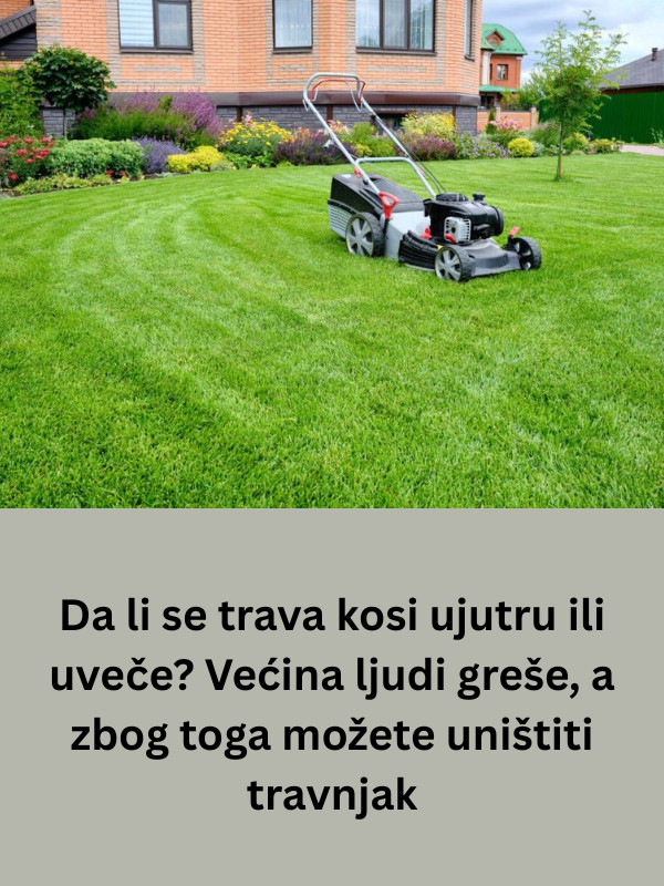 Da li se trava kosi ujutru ili uveče? Većina ljudi greše, a zbog toga možete uništiti travnjak - featured image