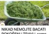 NE BACAJTE POKOŠENU TRAVU: EVO KAKO JU PRETVORITI U SUPER GNOJIVO! NE BACAJTE POKOŠENU TRAVU: EVO KAKO JU PRETVORITI U SUPER GNOJIVO! - featured image