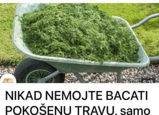 NE BACAJTE POKOŠENU TRAVU: EVO KAKO JU PRETVORITI U SUPER GNOJIVO! NE BACAJTE POKOŠENU TRAVU: EVO KAKO JU PRETVORITI U SUPER GNOJIVO! - featured image