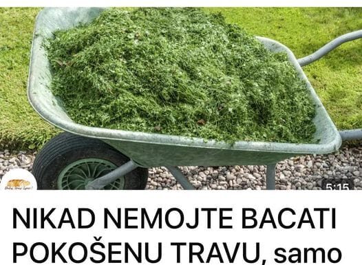 NE BACAJTE POKOŠENU TRAVU: EVO KAKO JU PRETVORITI U SUPER GNOJIVO! NE BACAJTE POKOŠENU TRAVU: EVO KAKO JU PRETVORITI U SUPER GNOJIVO! - featured image