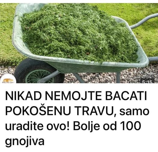 NE BACAJTE POKOŠENU TRAVU: EVO KAKO JU PRETVORITI U SUPER GNOJIVO! - featured image NE BACAJTE POKOŠENU TRAVU: EVO KAKO JU PRETVORITI U SUPER GNOJIVO! - featured image