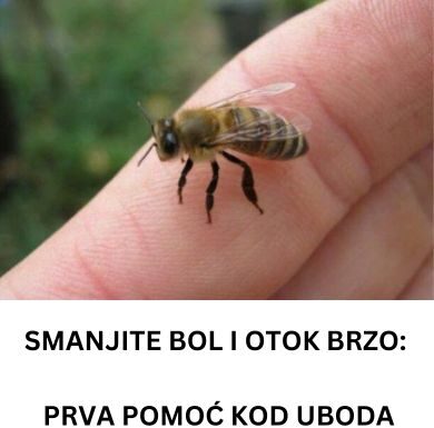 SMANJITE BOL I OTOK BRZO: PRVA POMOĆ KOD UBODA INSEKATA! SMANJITE BOL I OTOK BRZO: PRVA POMOĆ KOD UBODA INSEKATA! - featured image