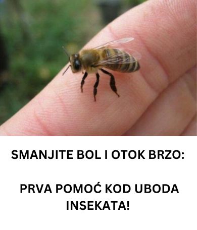 SMANJITE BOL I OTOK BRZO: PRVA POMOĆ KOD UBODA INSEKATA! - featured image